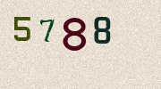 Visual Confirmation Security Code