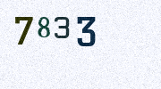 Visual Confirmation Security Code