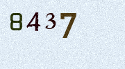 Visual Confirmation Security Code