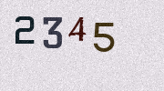 Visual Confirmation Security Code