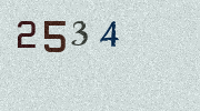 Visual Confirmation Security Code