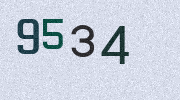 Visual Confirmation Security Code