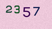 Visual Confirmation Security Code