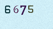 Visual Confirmation Security Code