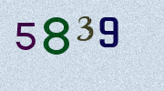 Visual Confirmation Security Code
