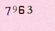 Visual Confirmation Security Code