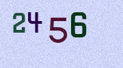 Visual Confirmation Security Code