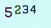 Visual Confirmation Security Code
