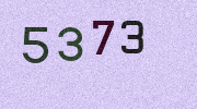 Visual Confirmation Security Code