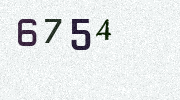 Visual Confirmation Security Code