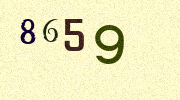 Visual Confirmation Security Code