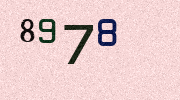 Visual Confirmation Security Code