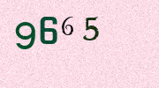 Visual Confirmation Security Code