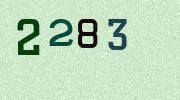 Visual Confirmation Security Code