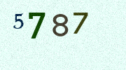 Visual Confirmation Security Code