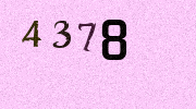 Visual Confirmation Security Code