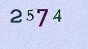Visual Confirmation Security Code