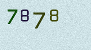 Visual Confirmation Security Code