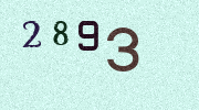 Visual Confirmation Security Code