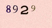 Visual Confirmation Security Code
