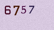 Visual Confirmation Security Code