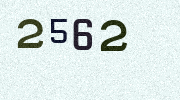 Visual Confirmation Security Code