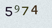 Visual Confirmation Security Code