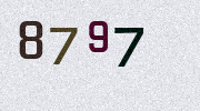 Visual Confirmation Security Code