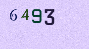 Visual Confirmation Security Code