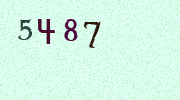 Visual Confirmation Security Code