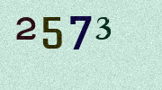Visual Confirmation Security Code