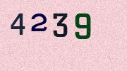 Visual Confirmation Security Code