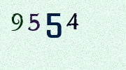 Visual Confirmation Security Code
