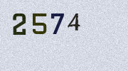 Visual Confirmation Security Code