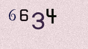 Visual Confirmation Security Code