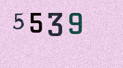 Visual Confirmation Security Code