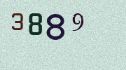 Visual Confirmation Security Code