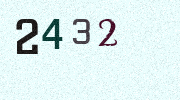 Visual Confirmation Security Code