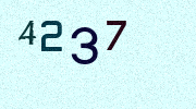 Visual Confirmation Security Code