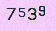 Visual Confirmation Security Code