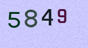 Visual Confirmation Security Code