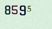 Visual Confirmation Security Code