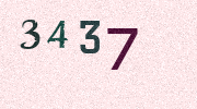 Visual Confirmation Security Code