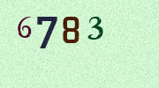 Visual Confirmation Security Code