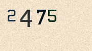 Visual Confirmation Security Code