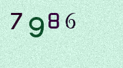 Visual Confirmation Security Code