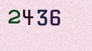 Visual Confirmation Security Code