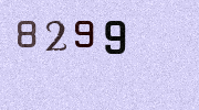 Visual Confirmation Security Code