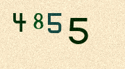 Visual Confirmation Security Code