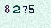 Visual Confirmation Security Code